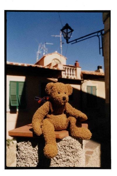 Teddy in Italien
